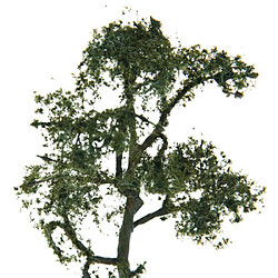 3.54 Pouces Paysage Paysage Modèle Arbre Sycomore Disposition Diorama Décors 5 Pièces