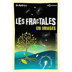 Les fractales en images