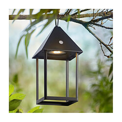 Endon Lampe de table extérieur Hoot Verre,alliage d'aluminium Noir mat, verre transparent