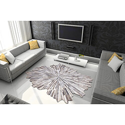 Avis RUGSX Tapis TINE 75317A Abstraction - moderne, forme irrégulière gris foncé gris clair 195x290 cm