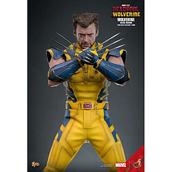 Avis Hot Toys MMS754 - Marvel Comics - Deadpool & Wolverine - Wolverine Deluxe Version