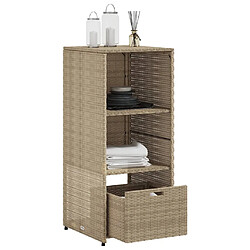 Acheter vidaXL Armoire de rangement de jardin beige 50x55x115cm résine tressée