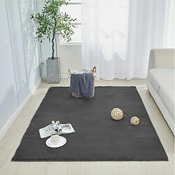 Sensoo Tapis décoratif pour salon chambre à coucher chambre d'enfant Tapis moelleux Moderne Poils longs Super doux Qualité supérieure Couleur unie Antidérapant (gris foncé 200 x 290 cm)