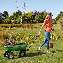 Sodipa Chariot remorque de jardin 52 Litres.