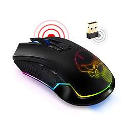 Spirit Of Gamers Souris sans fil pour gamer ELITE-EM20 - droitier - capteur optique 4800dpi - 6 boutons programmables - rétro-éclairage RGB