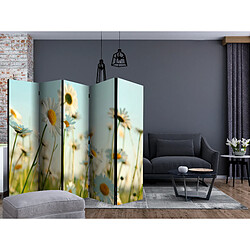 Artgeist Paravent - Daisies - spring meadow II [Room Dividers] [225x172]