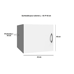 Inside 75 Surmeuble colonne de rangement LUND blanc mat 40 x 40 cm profondeur