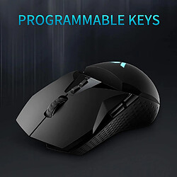 Acheter Universal Mouse de jeu 2.4G sans fil 16000dpi OLED éclairage RGB PMW3389 moteur pour PUBG LOL FPS jeux | Mouse(Le noir)