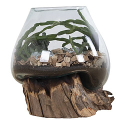 Acheter EPIKASA Terrarium San