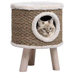 vidaXL Maison pour chat avec pieds en bois 41 cm Herbiers marins 