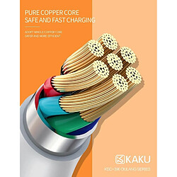 iKaku Kaku KSC-396 Prise USB intelligente Chargeur 2,4A + câble microUSB 1m