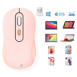 LinQ Souris Sans Fil Bluetooth ou WiFi 2.4Ghz Précision et Confort Rose Poudré pas cher