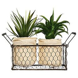 Lot de 2 Aloe Vera & Panier Well 23cm Vert