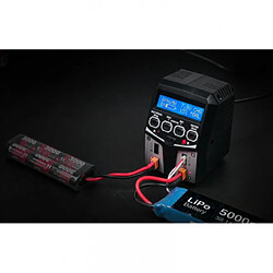 Sky Rc Chargeur DUO SkyRC T100 LiPo 2-4s 5A 2x50W - SK100162 pas cher