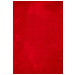 vidaXL Tapis HUARTE à poils courts doux et lavable rouge 120x170 cm