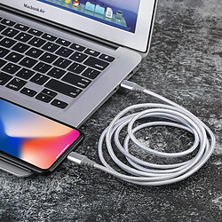 Avis Platyne Cable Usb C Vers Lightning 2 Metres