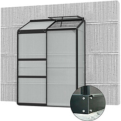 Vitavia Serre de jardin en polycarbonate 4 mm et aluminium noir avec embase Ida 68.8 x 130.60 x 182.30 cm.