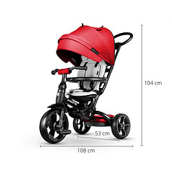 Acheter Milly Mally Tricycle Qplay New Prime Rouge