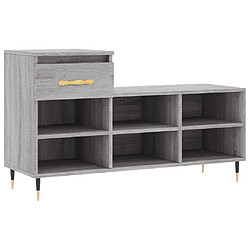 Maison Chic Armoire à Chaussures,Meuble de Rangement à Chaussures Sonoma gris 102x36x60 cm Bois d'ingénierie -MN92927