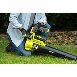 Avis Souffleuse Ryobi Turbo Jet Blower - RY36BLA-0