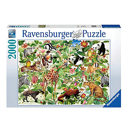 Avis Ravensburger Puzzle Premium de 2000 Pièces Softclick Thème Jungle en Carton Extra-épais Multicolore