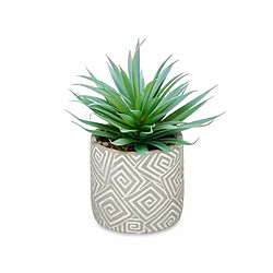 Ibergarden Plante décorative Succulent Bois Plastique 17 x 21 x 17 cm (8 Unités)