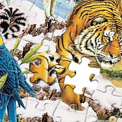 Acheter King Puzzle de 1000 Pièces Merveilles de la Nature en Carton Multicolore