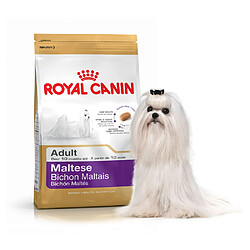 Acheter Croquettes Bichon Maltais pour Chien Adulte - Royal Canin - 1,5Kg