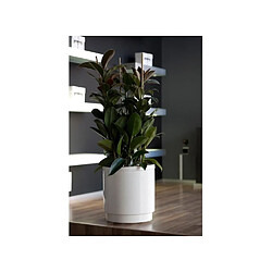 PLASTIKEN Pot de fleurs a réserve d'eau Hidrojardinera - Ø22 cm - Blanc