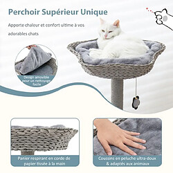 Avis Helloshop26 Arbre à chat 106 cm perchoir condo et 2 balles suspendues tour à chat poteaux de soutien en métal et coussin amovible gris 20_0001597