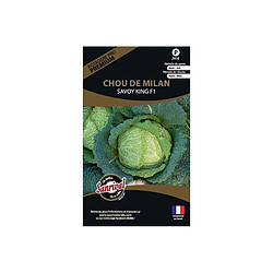 Sanrival Graines potagères premium chou Chou de Milan Savoy King