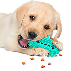 Jouets pour chien avec ventouse Boule de Cactus Bâton de dentition pour chien