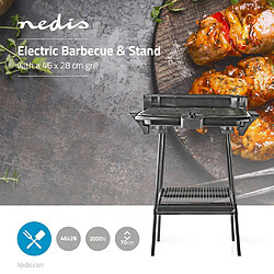 Alpexe Barbecue Électrique | Rectangulaire | 46 x 28 cm | 2 000 W