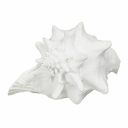 BigBuy Home Figurine Décorative Blanc Conque 21 x 19 x 13 cm