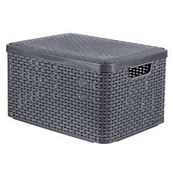 Curver Boîte de rangement avec couvercle Style L 30 L Argent métallisé