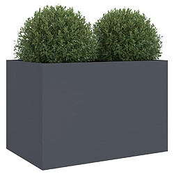 Avis vidaXL Jardinière anthracite 62x47x46 cm acier