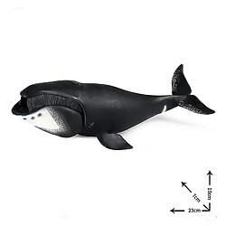 Universal Simulation Marine Life Model Toy Bowhead Whale Shark Prédance Éducation cognitive