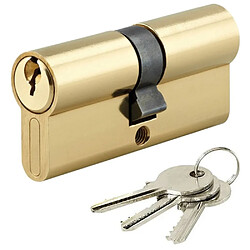 DOM METALUX Cylindre de securite pour porte barillet 30 x 30 mm 3 cles Metalux 1060B