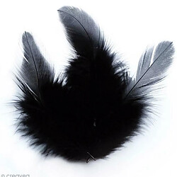 Graines Creatives Plumes de coq 10 cm - noir