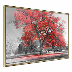 Paris Prix Affiche Murale Encadrée Red Tree 30 x 20 cm Or