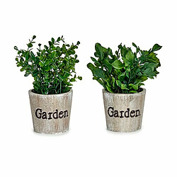 Avis Ibergarden Plante décorative Plastique 16 x 22 x 16 cm (12 Unités)