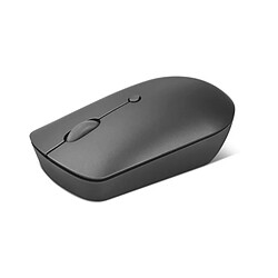 Acheter Souris sans fil compacte USB-C Lenovo 540 Gris