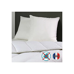 DODO Lot de 2 Oreillers Anti-Acariens Belle Nuit 60x60 cm blanc