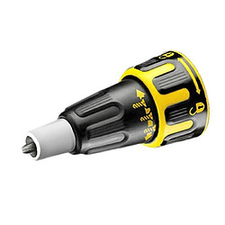 Tournevis Dewalt DCF620P2K-QW