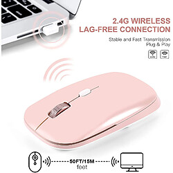 Universal Souris d'ordinateur sans fil, souris sans fil mince 2,4 g de souris optiques mobiles moins brutables pour un ordinateur portable, PC, ordinateur portable, ordinateur, MacBook - Pink