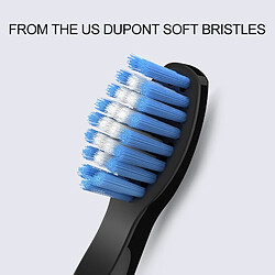 Universal Brosse à dents électrique sonore rechargeable Adulte étanche brosse à dents électronique tête de remplacement Cadeau | Brosse à dents électrique