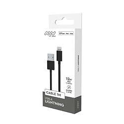 My Way Myway Câble Lightning vers USB 2.0 Charge 12W et Synchronisation 1m Noir