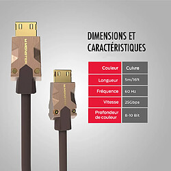 Câble antenne