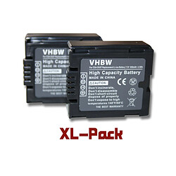 vhbw set de 2 batteries 600mAh pour appareil photo Panasonic PV-GS50, PV-GS50S, PV-GS55, PV-GS70, PV-GS120, PV-GS200