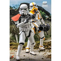 Acheter Hot Toys TMS041 - Star Wars : The Mandalorian - Stormtrooper Commander